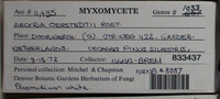 Image Associated With the Occurence